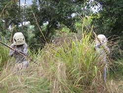 Papua Nová Guinea – Asaro Mudman